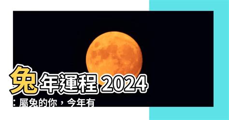 兔年運程 2024|【屬兔2024生肖運勢】是非多人氣旺，運勢漸入佳。